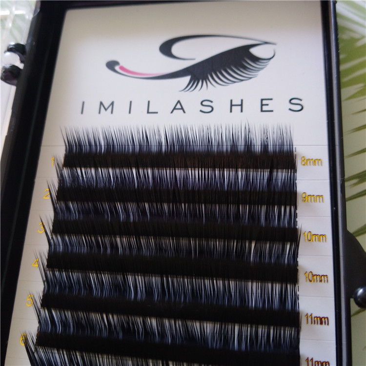 natural false eyelashes.jpg